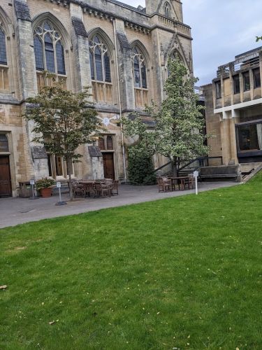 Tarot Readings at Balliol College  Sunday 5th May 2024